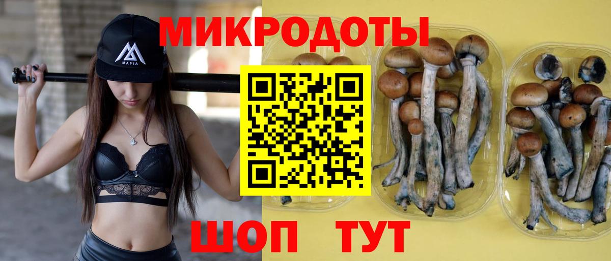 Галлюциногенные грибы прущие грибы Костомукша