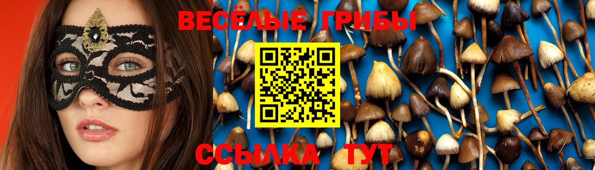 Галлюциногенные грибы прущие грибы  Вход с VPN  Костомукша  Галлюциногенные грибы MAGIC MUSHROOMS 